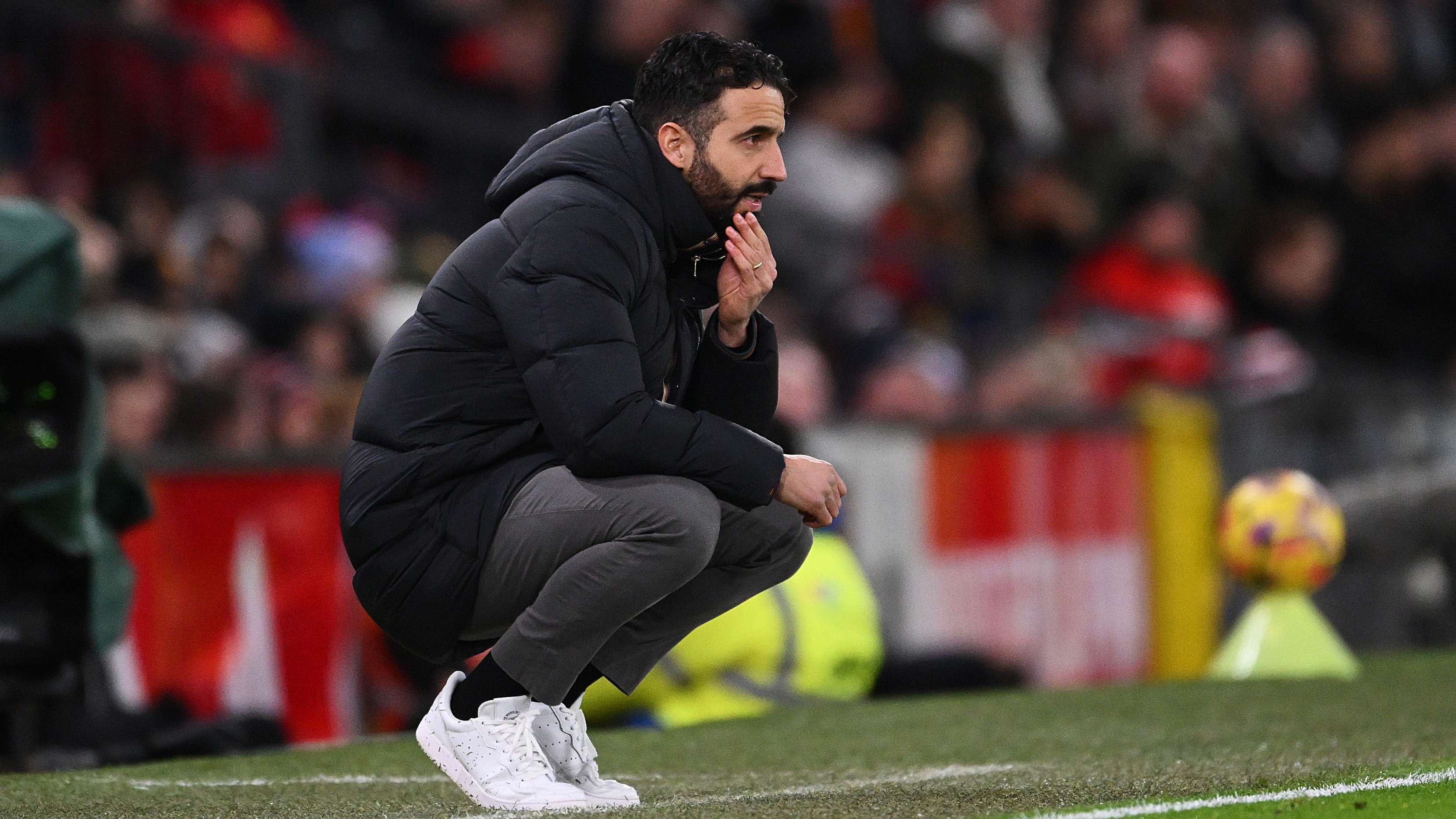 引入成为巴 引入成为巴